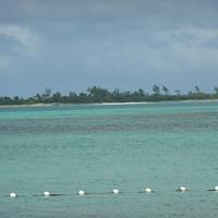 P1000246.JPG