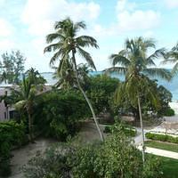P1000249.JPG