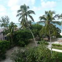 P1000250.JPG