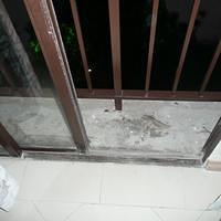 P1000273.JPG