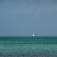 P1000276.JPG
