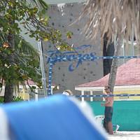 P1000277.JPG