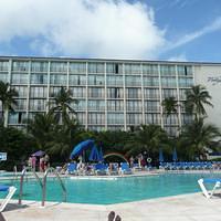 P1000288.JPG