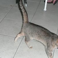 P1000295.JPG