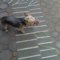IMG00030.jpg