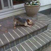 IMG00031.jpg