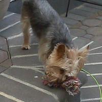 IMG00036.jpg