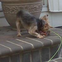 IMG00037.jpg