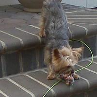 IMG00039.jpg
