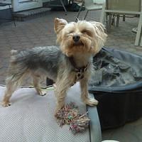 IMG00041.jpg