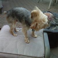 IMG00042.jpg