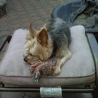 IMG00043.jpg