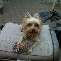IMG00044.jpg