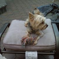 IMG00045.jpg