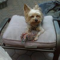 IMG00046.jpg