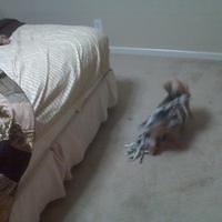 IMG00077.jpg