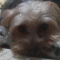 IMG00086.jpg
