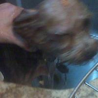 IMG00091.jpg