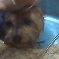 IMG00092.jpg