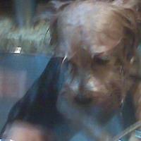 IMG00094.jpg