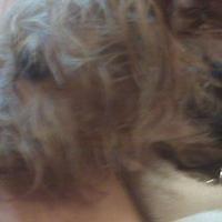 IMG00105.jpg