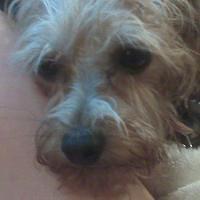 IMG00106.jpg