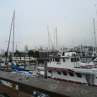 P1000340.JPG