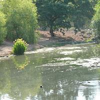 P1000345.JPG