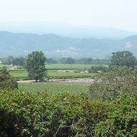 P1000353.JPG