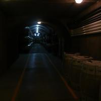 P1000361.JPG