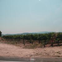 P1000382.JPG