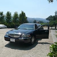 P1000390.JPG