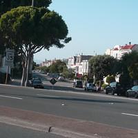 P1000423.JPG