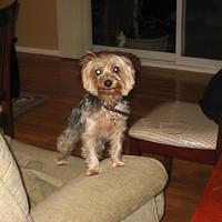 IMG_3440.JPG