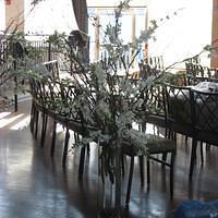 IMG_3456.JPG