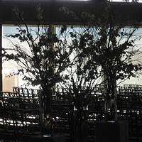IMG_3471.JPG