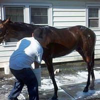 Gullo Barn at Belmont Park 2011-05-21