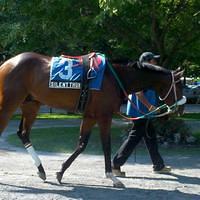 Silent Thunder first Stakes Race 2011-09-02