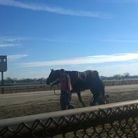 2011-12-30_12-59-59_471.jpg