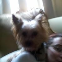 2012-02-16_14-43-50_39.jpg