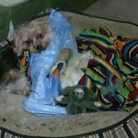 2012-04-14_21-43-40_672