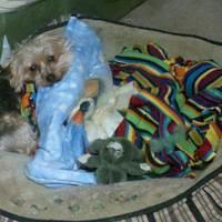 2012-04-14_21-43-47_929