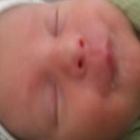 2012-04-26_13-33-11_560.jpg