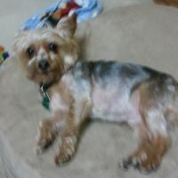 2012-04-26_21-20-52_592.jpg