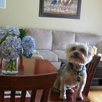 IMG_0335.JPG