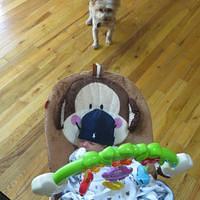 IMG_0378.JPG
