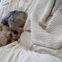 2012-05-01_14-42-41_117.jpg