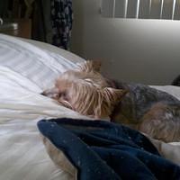 2012-05-04_14-34-52_887.jpg
