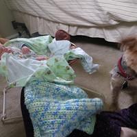 IMG_0445.JPG