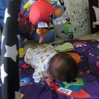 IMG_0452.JPG